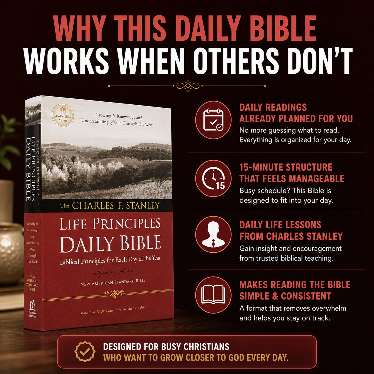 LIFE PRINCIPLES DAILY BIBLE
